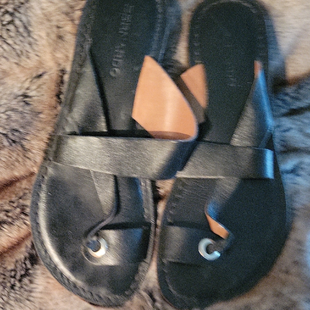 Bernardo Thong Sandal 9M